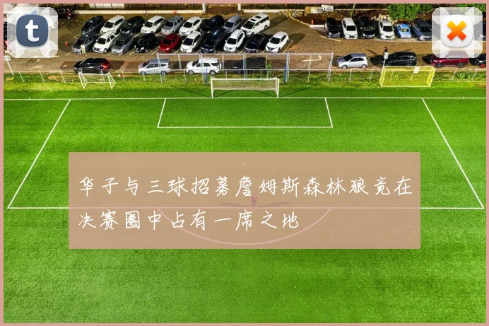 华子与三球招募詹姆斯森林狼竟在决赛圈中占有一席之地