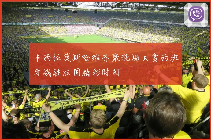 卡西拉莫斯哈维齐聚现场共赏西班牙战胜法国精彩时刻