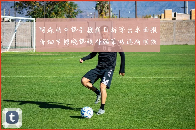 阿森纳中锋引援新目标浮出水面报价细节揭晓锋线补强策略逐渐明朗
