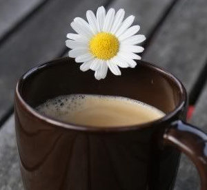 صور تصاميم صباح الخير، صور تصاميم قهوة ورد صور صباح جميل شروق الشمس، صور لتصميم صباح الخير من موقع أحلى صباح